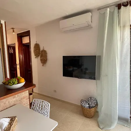 Apartament Apartamerica Garden - 150 Metres From The Playa de las Americas (Tenerife)
